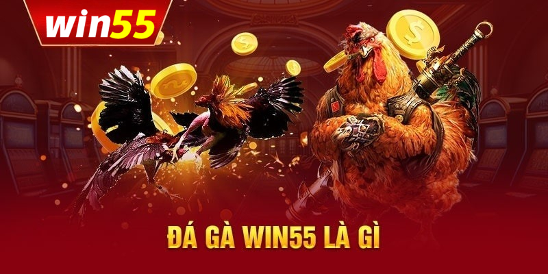 Tổng quan về đá gà Win55